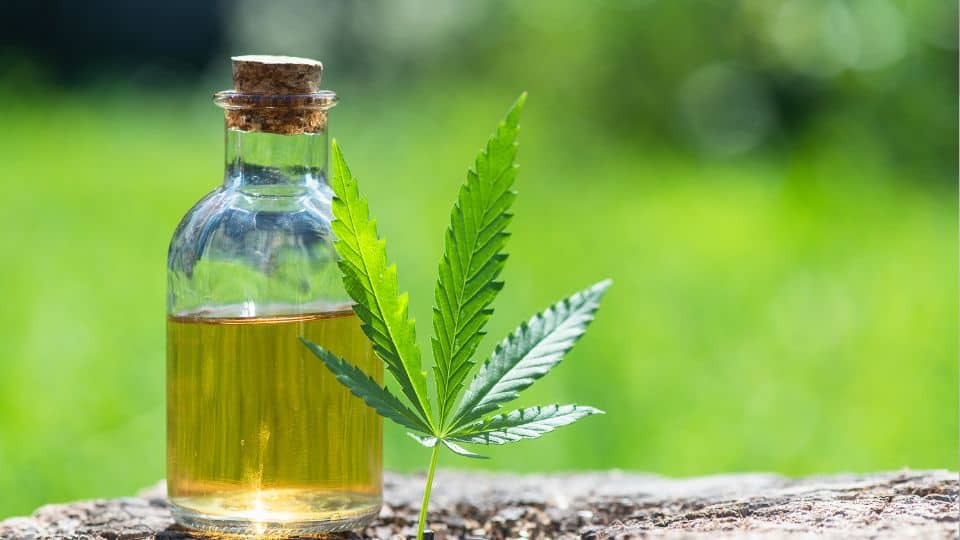 האם טיפות CBD יכולות לסייע עם דיכאון אחרי לידה?