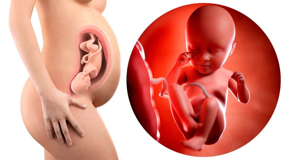 מתגעגעת לגוף שלפני הלידה? אפשר להחזיר את הגלגל לאחור!