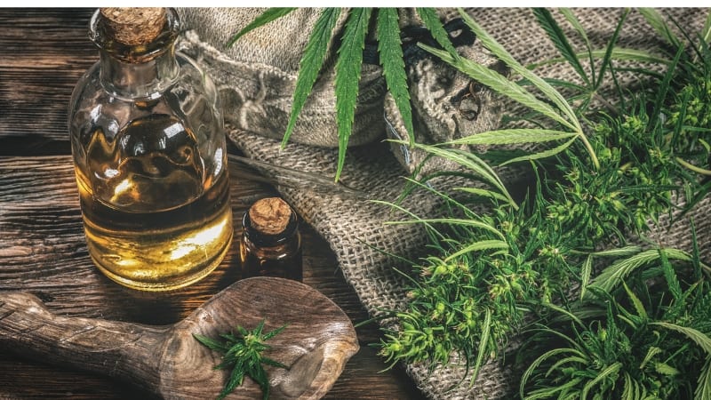 CBD בטיפול במצבים שונים